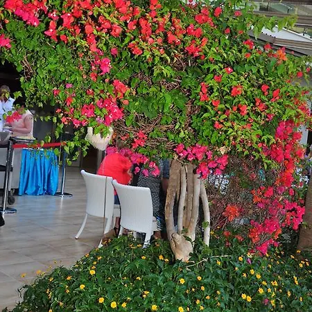 Resort Port 5*